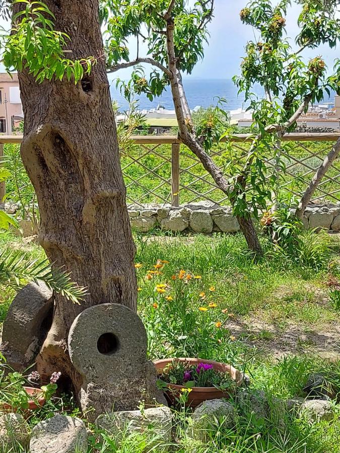 Villa Symphony Sea View Forio di Ischia Zewnętrze zdjęcie