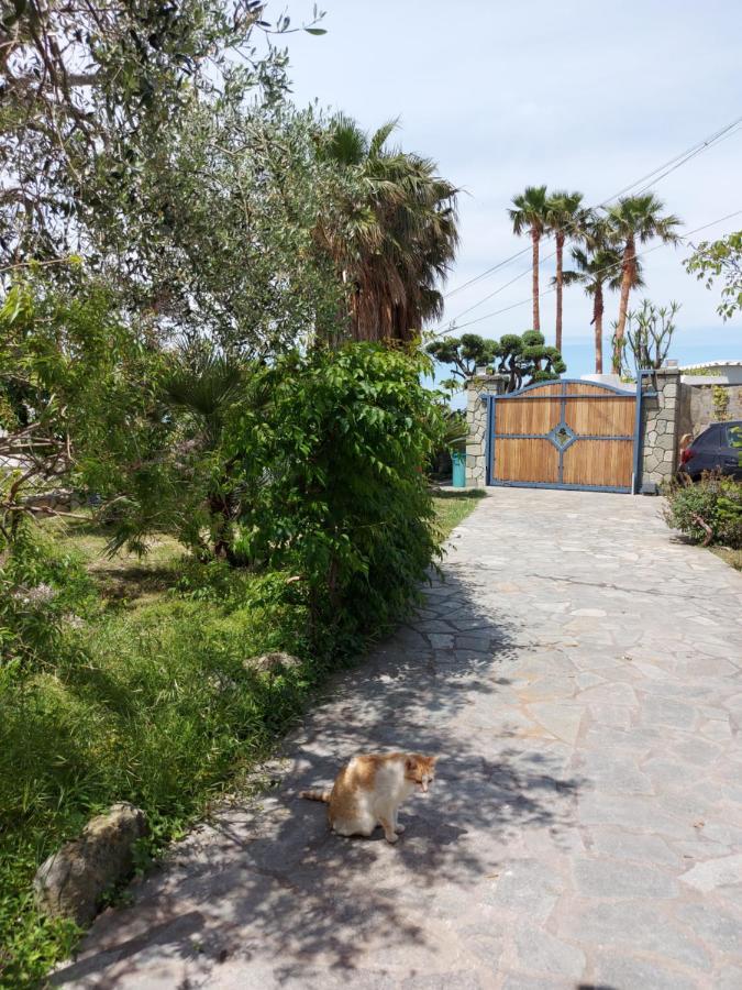 Villa Symphony Sea View Forio di Ischia Zewnętrze zdjęcie