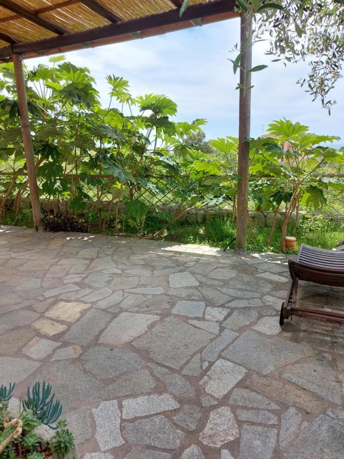Villa Symphony Sea View Forio di Ischia Zewnętrze zdjęcie