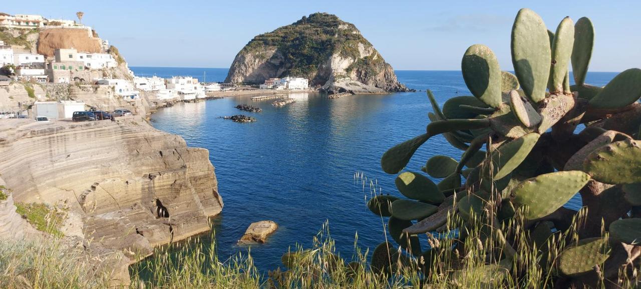 Villa Symphony Sea View Forio di Ischia Zewnętrze zdjęcie