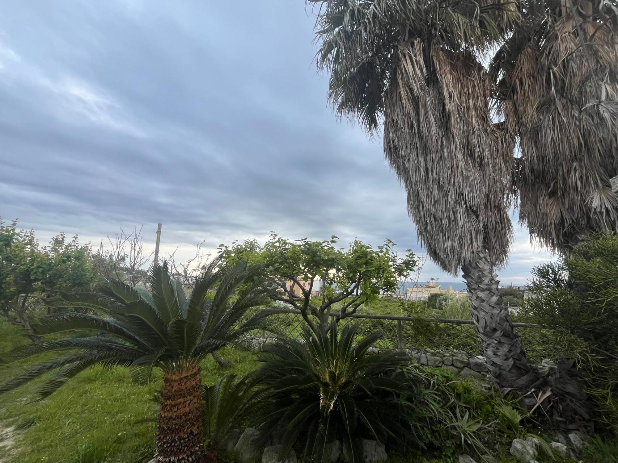 Villa Symphony Sea View Forio di Ischia Zewnętrze zdjęcie