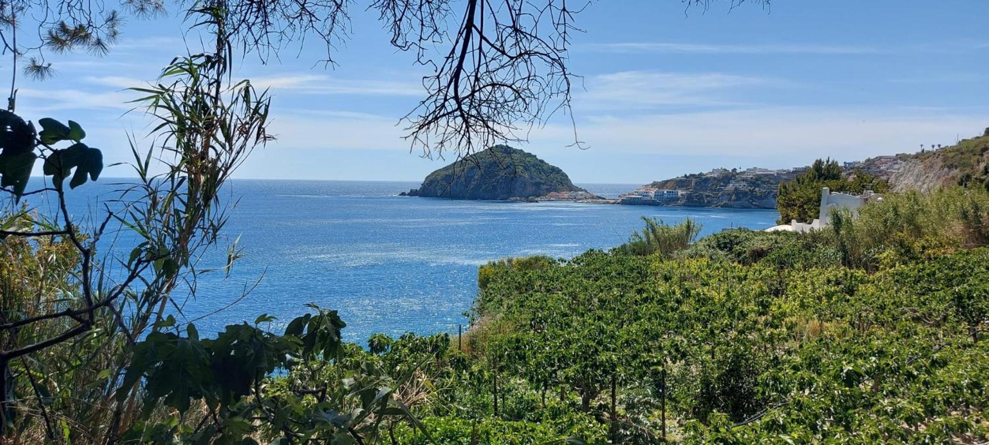 Villa Symphony Sea View Forio di Ischia Zewnętrze zdjęcie