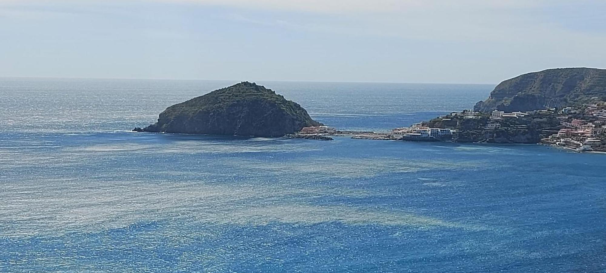 Villa Symphony Sea View Forio di Ischia Zewnętrze zdjęcie