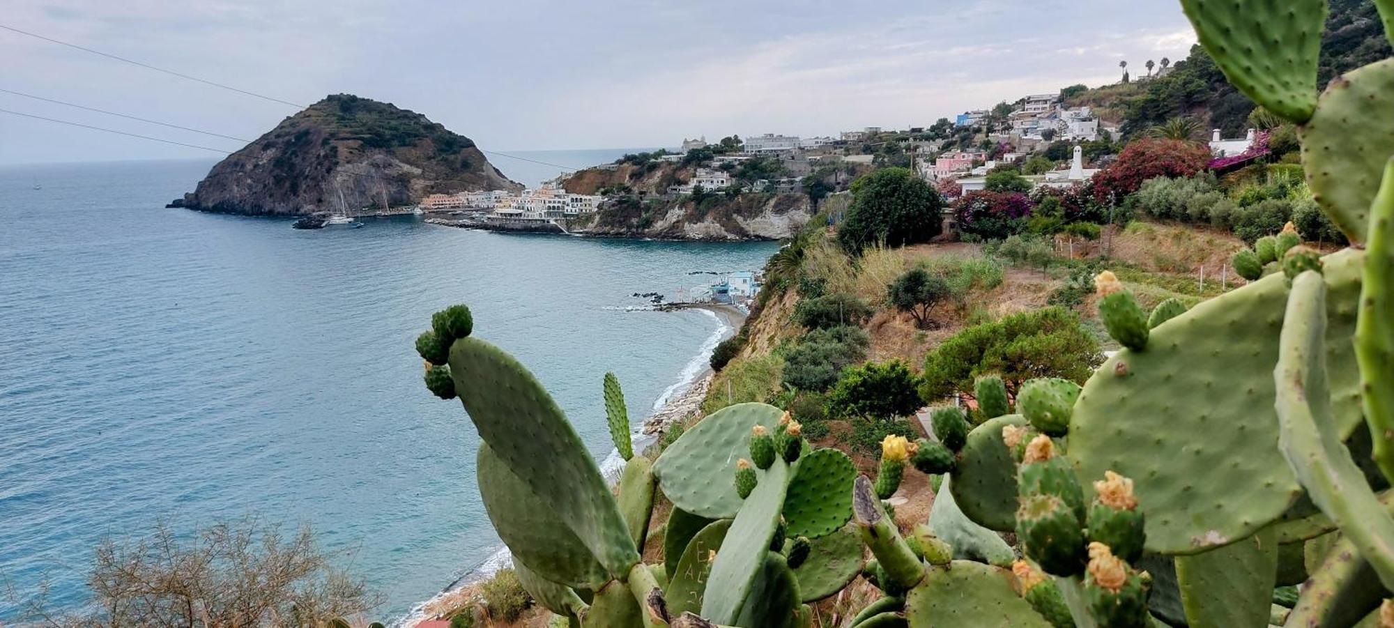 Villa Symphony Sea View Forio di Ischia Zewnętrze zdjęcie
